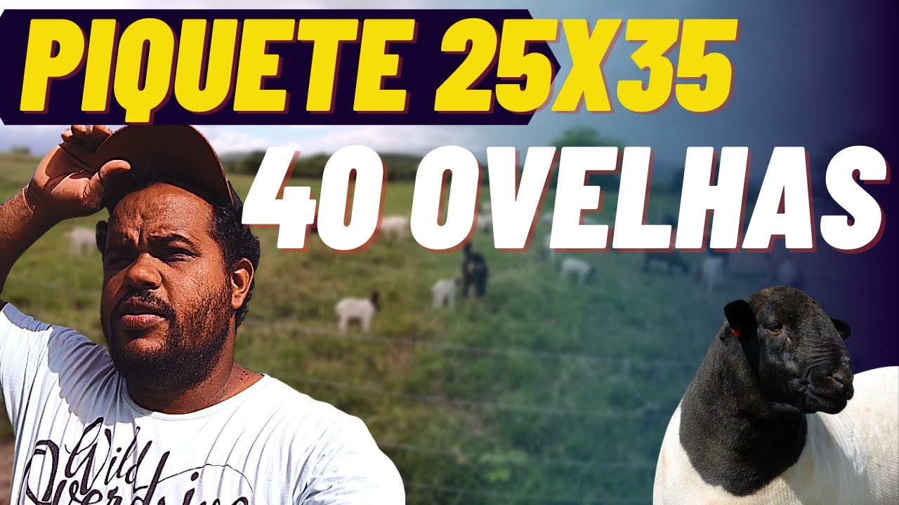 PIQUETE DE 25X35 PARA 40 ANIMAIS (CAPRINOS E OVINOS) | Inscrito me indicou eu fiz!