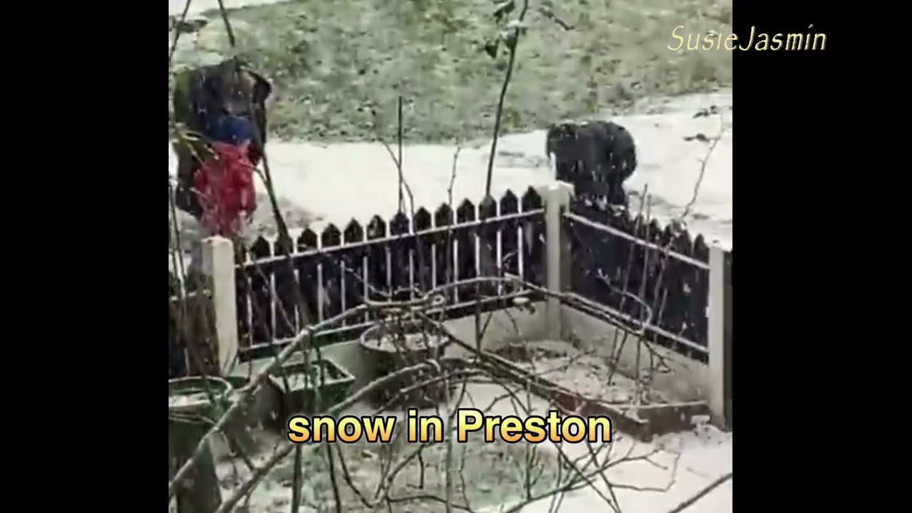 Snowing in Preston , kids playing 