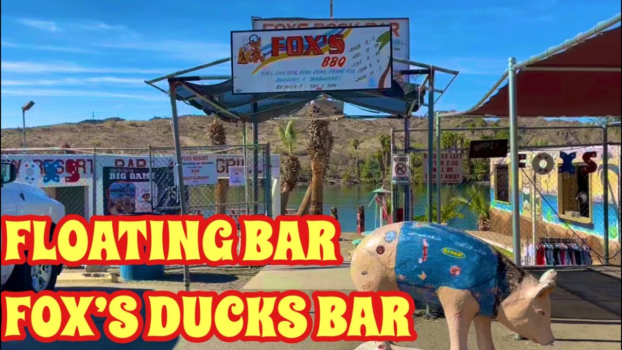 FLOATING BAR FOX’S  DUCK PARKER, ARIZONA