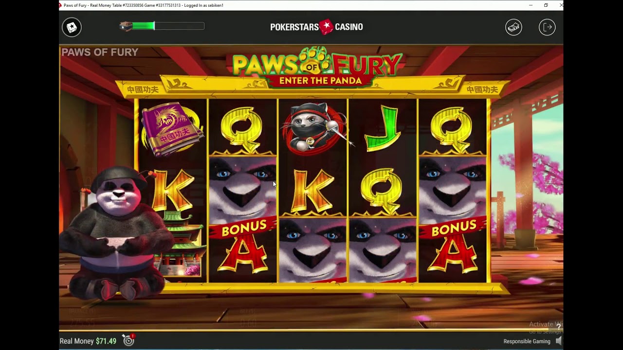 SMALL STAKES BIG WIN PAWS OF FURY AND REACTONZ !FINALLY PAWS OF FURY PAYS !!!!!!