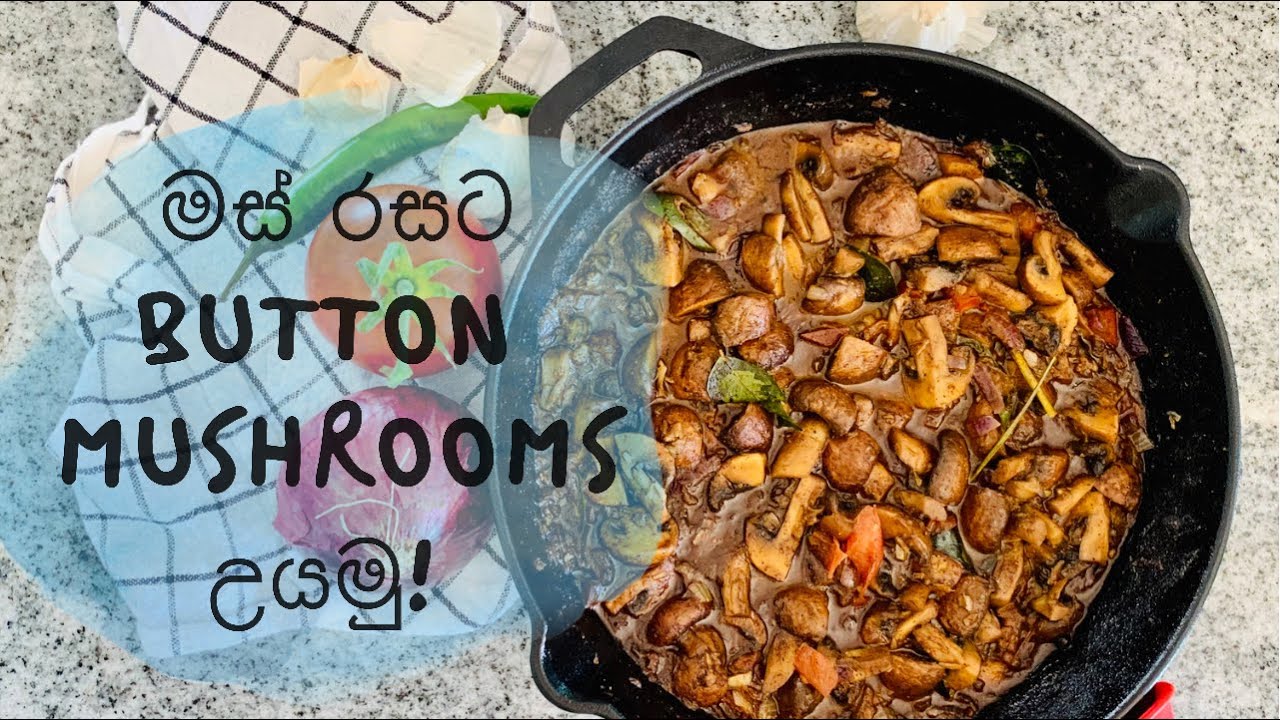 මස් රසට Button mushrooms උයමු! Button mushrooms curry tastes like a meat curry 🌶!