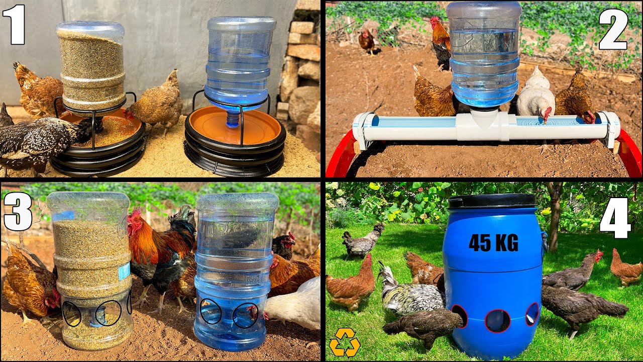 5 Süper Fikir | 12 Dakikada Sıradışı Tavuk Yemlik ve Suluk Yapımı