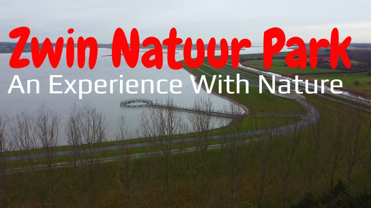Visit Het Zwin Natuur Park, an Experience with Nature.