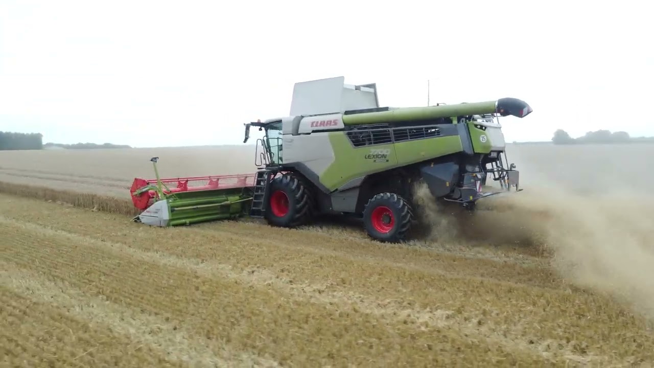 LEXION 7700 MONTANA à la MOISSON du BLE 2023