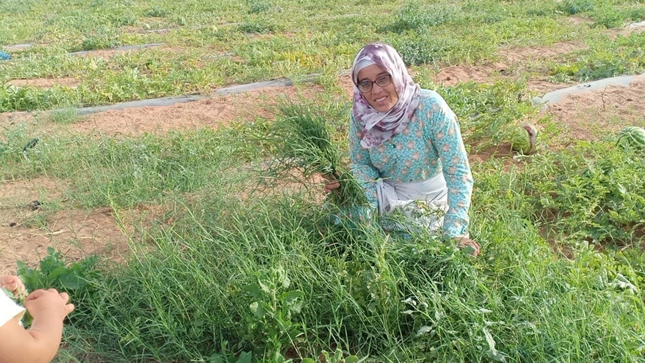 فين وصلات قنية ليربات سميرة والبحيرة لباعت مع هاد الجو والحرارة 😍🌞