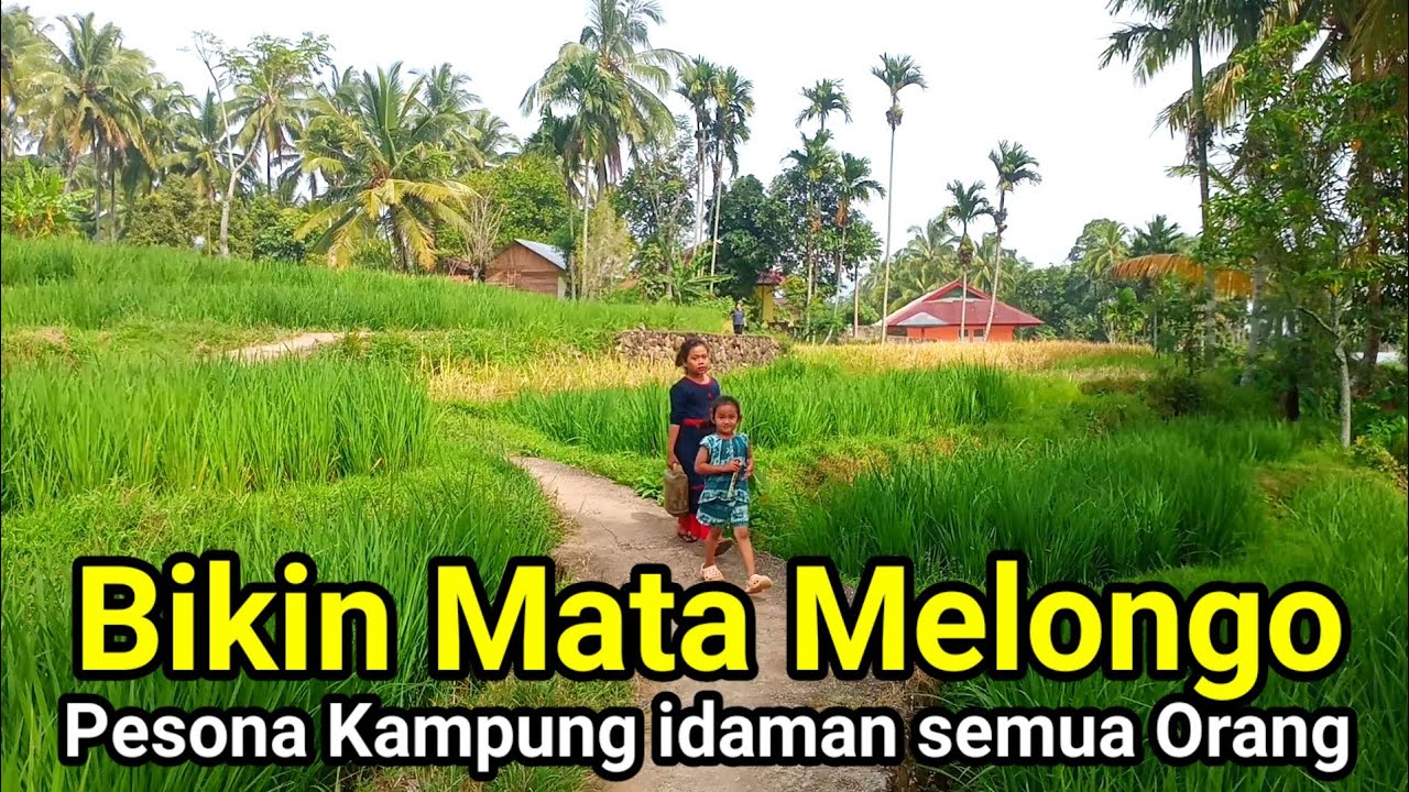 Suasana Kampungnya bikin candu dan ketagihan datang ke sini 