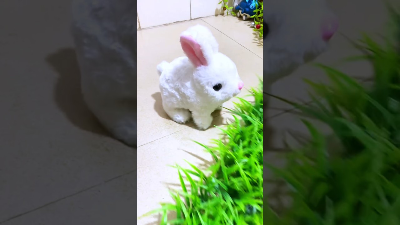 Hyra Walking & Talking Rabbit Toy | Walk, Talk, & Shake Ears | Fun Interactive Toy