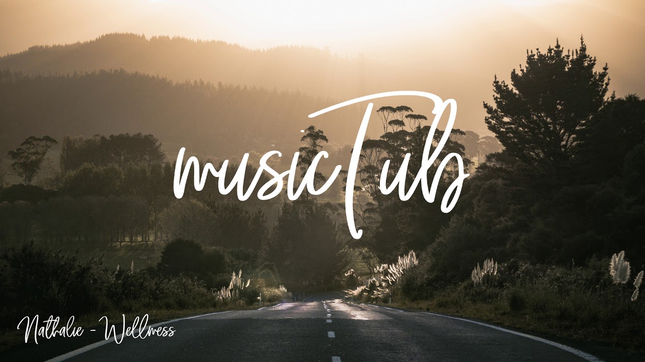 Nathalie - Wellmess feat. Steven Ellis [2000s Rock Music]
