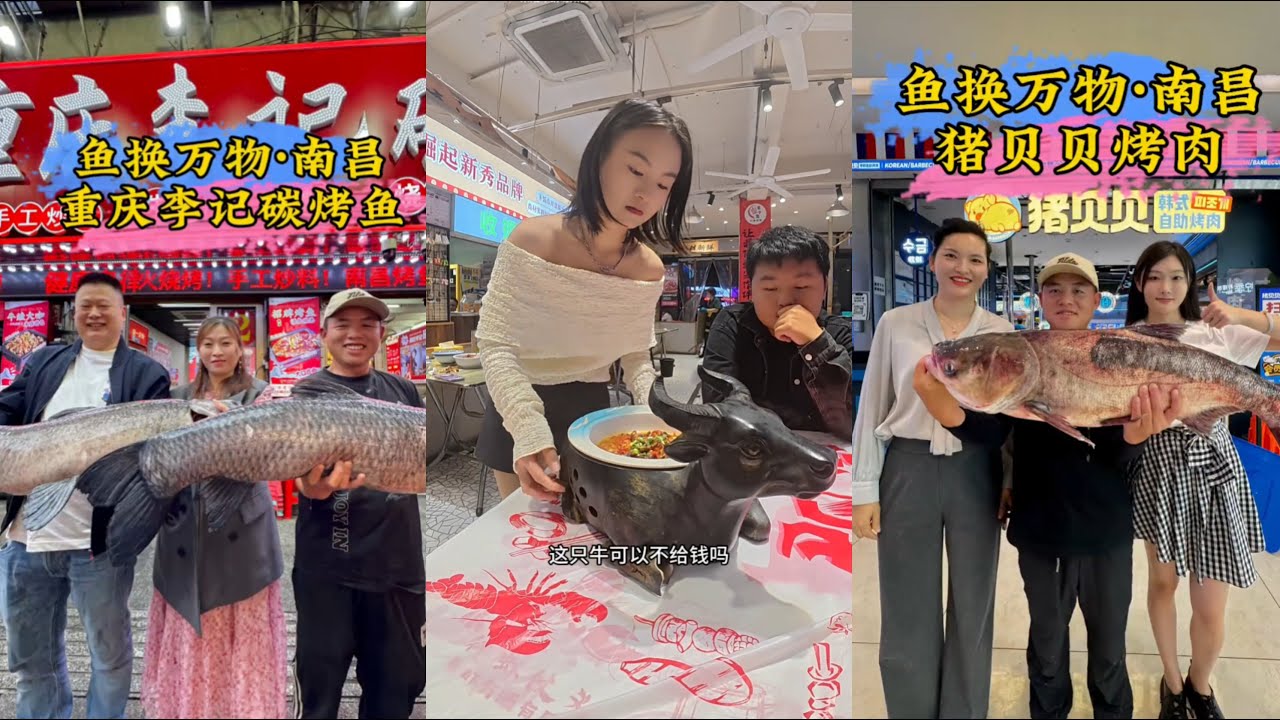 挑战钓鱼换甲鱼，你们觉得老板亏不亏？ | 钓鱼交换美食，今天遇到一位喜欢吃鱼又喜欢交朋友的老板，两条大青送老板你们觉得老板亏不亏