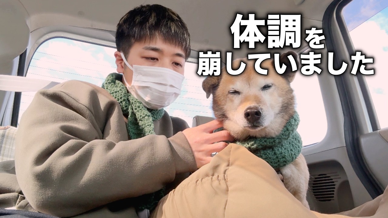 実はここ数日、体調を崩していました