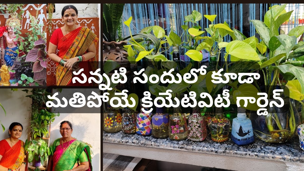 సన్నని సందు లో కూడా మతిపోయే క్రియేటివిటీ గార్డెన్#@Aadi Lakshmi's Terrace Garden ఆదిలక్ష్మి మిద్దెతోట #createvety garden#