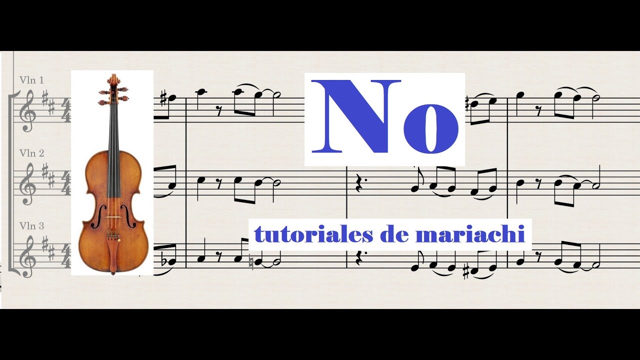 No Violin