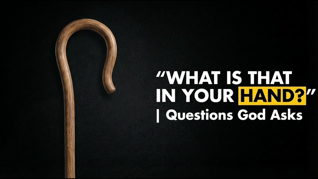 What's that in your hand... Questions God Asks