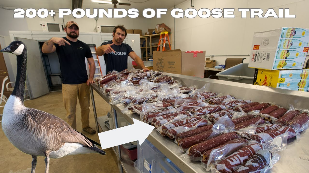 Как приготовить гусиное мясо (Goose Trail своими руками)