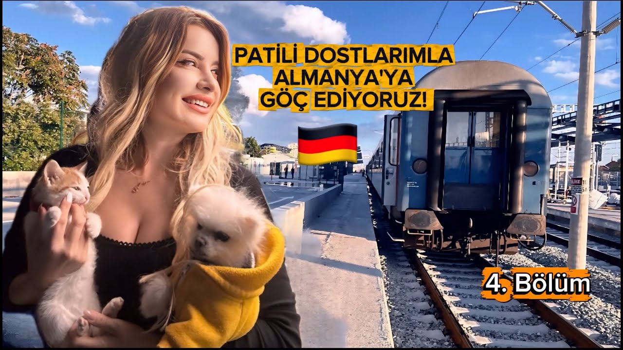 K&Ouml;PEĞİM VE KEDİMLE TEK BAŞIMA ALMANYA'YA TAŞINIYORUM! B&Ouml;L&Uuml;M 4 -OPTIMA EXPRESS
