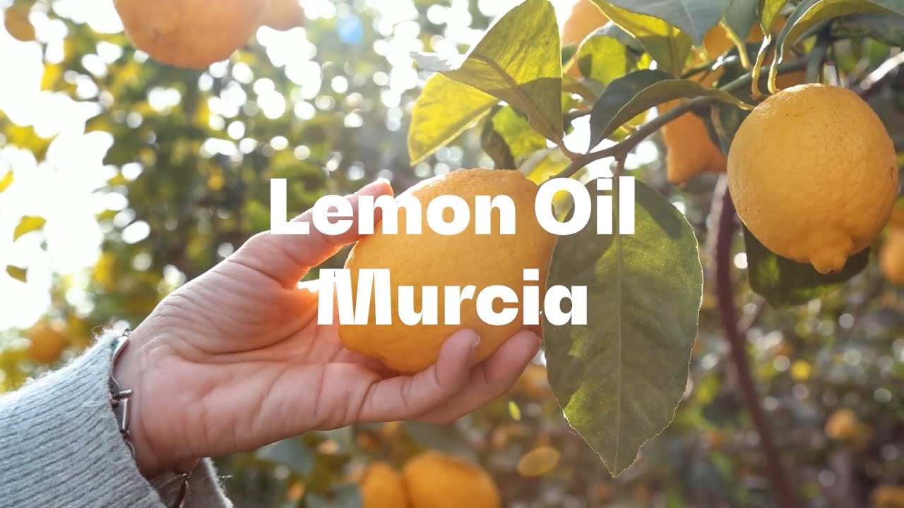 EUROFRAGANCE ICON field trips - Lemon Oil Murcia in Spain