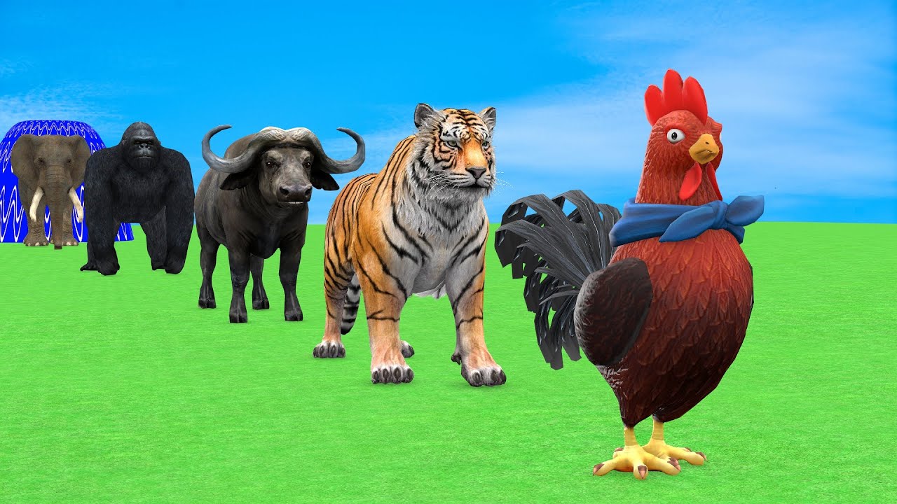 Long Slide Game with Cow Elephant Gorilla Hippopotamus Tiger 3d Animal Game Funny 3d Animals
