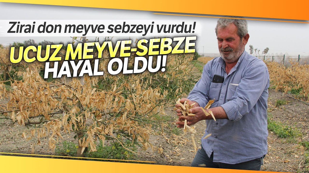 Zirai Don Mersin’i Vurdu, Sebze ve Meyveye Ulaşmak Hayal Oldu