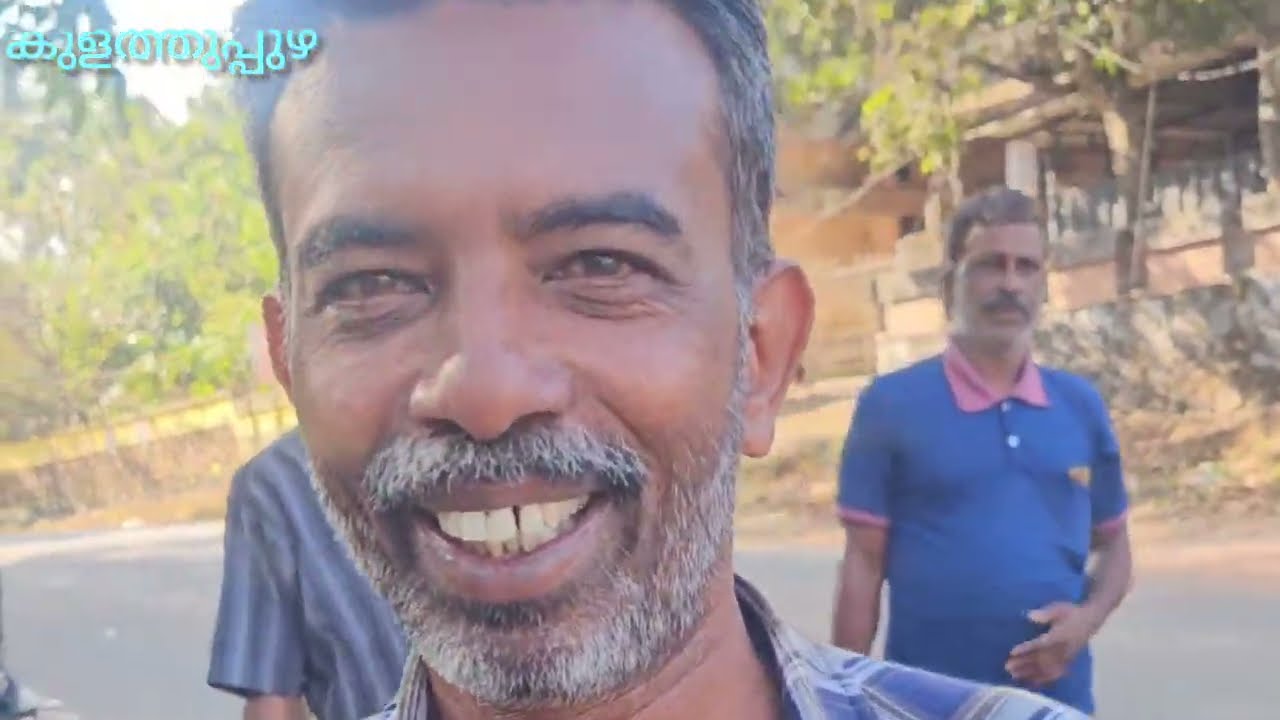 കാട്ടുപോത്ത് ഓട്ടോറിക്ഷ കുത്തി മറിച്ചു കൊല്ലം ജില്ലയിലെ കുളത്തുപ്പുഴയാണ് സംഭവം #kollam#ktr#kadepothe