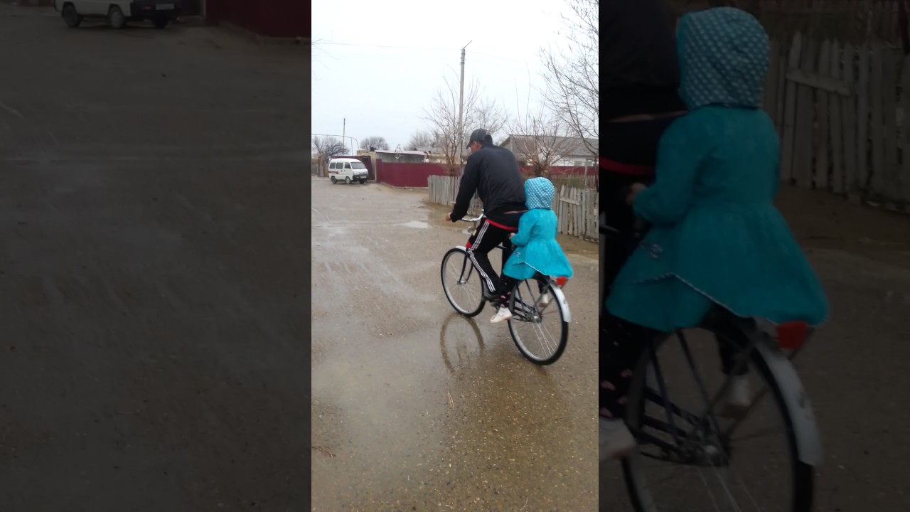 Газли