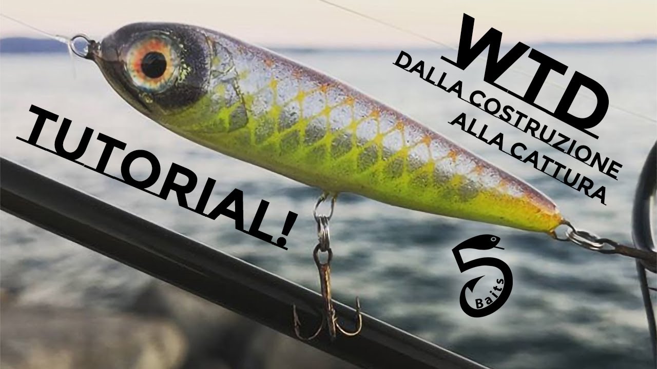 WTD | Dalla Costruzione alla Cattura!