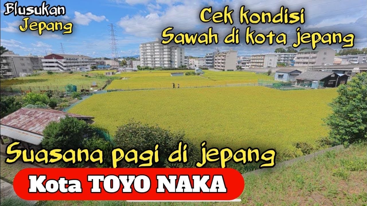 suasana pagi hari di jepang kota toyonaka || dikota ternyata masih ada sawah !!