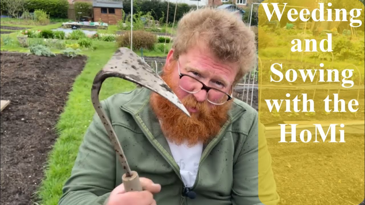 HoMi tool | Sowing Parsnips and Carrots and weeding