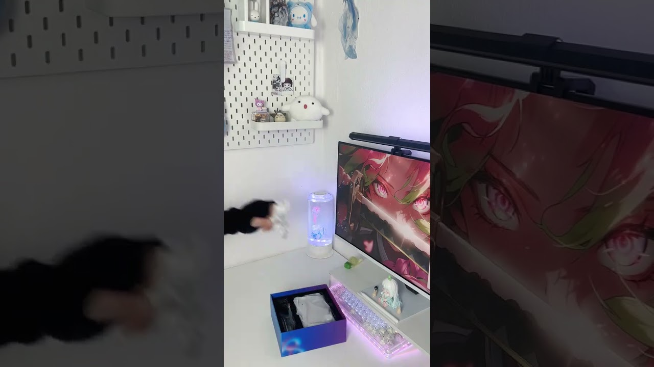 Unboxing Kiiboom Phantom 21 