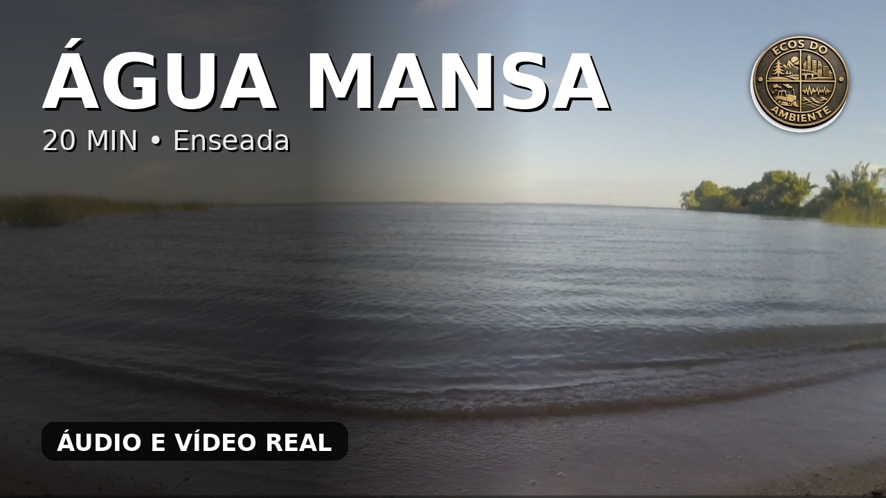 [20MIN] Baía/enseada tranquila: ondas leves e horizonte aberto | Som ambiente real