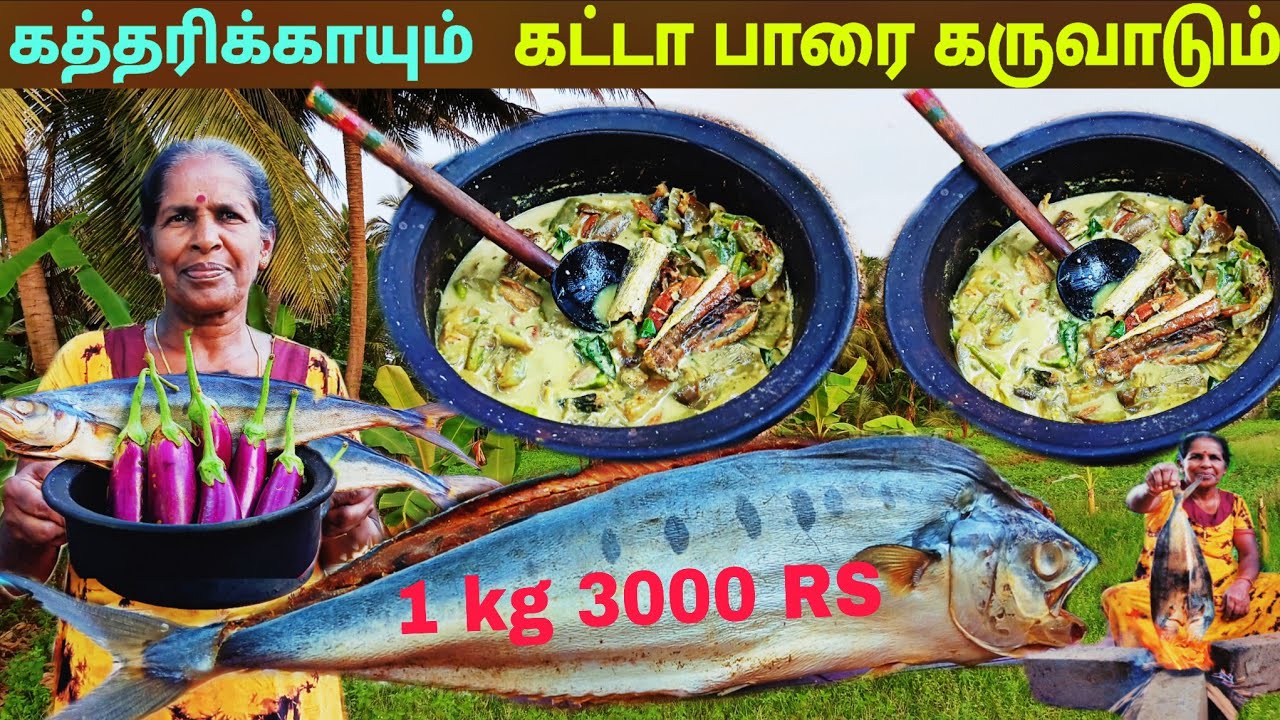 கத்தரிக்காயும் கருவாடும் இப்படி சுவைக்குமா l village life 💚 vanni bro 