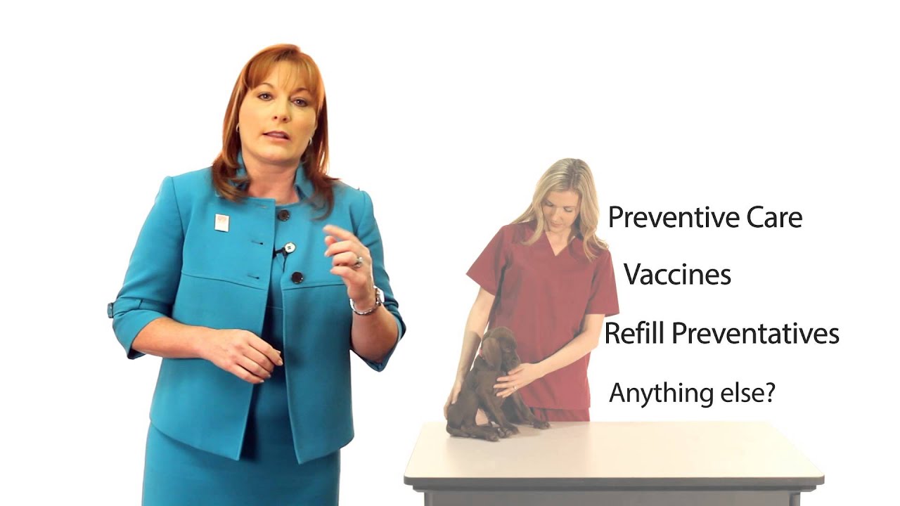 Veterinary Practice Tips Series - Exam Room Greetings by Wendy S. Myers