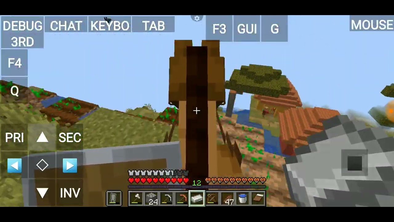 Making a path way to village and my house minecraft survival 