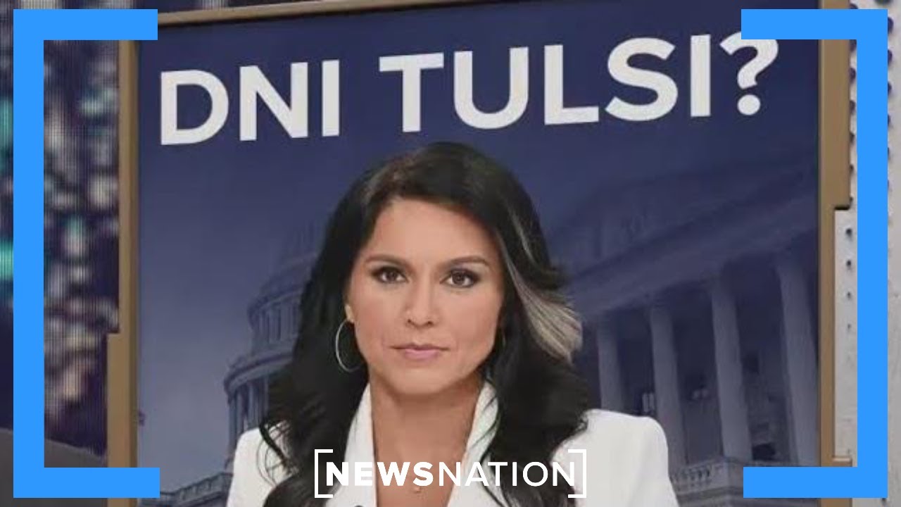 Gabbard struggles to woo senators ahead of confirmation fight | Dan Abrams Live