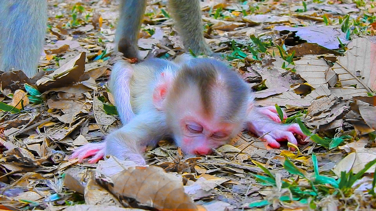 Adorable baby Levy is sleeping peacefully alone after he's had his fill