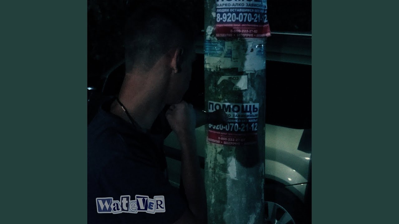 Собаке собачья жизнь