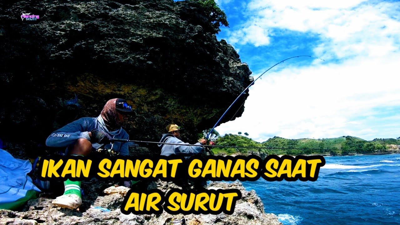 mancing mania ditebing yang karangnya dangkal - ikan sangat ganas saat air laut surut