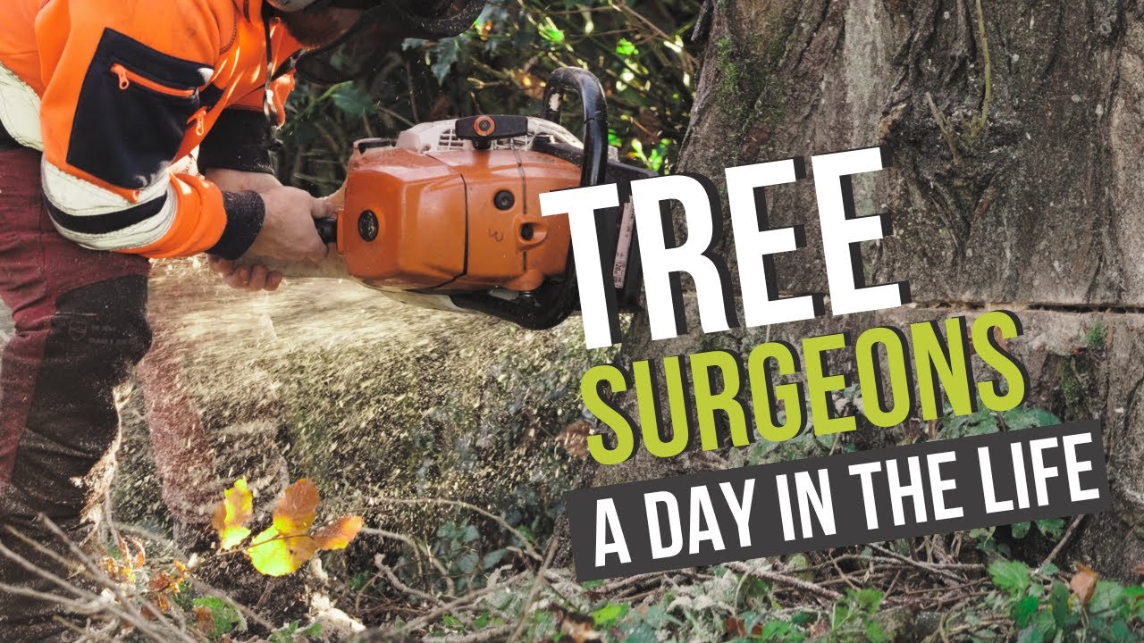 Tree Surgery Work