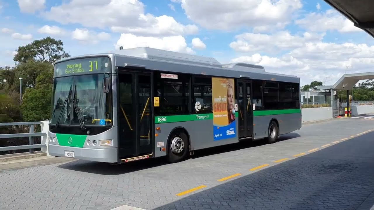 Buses and a train at Warwick station