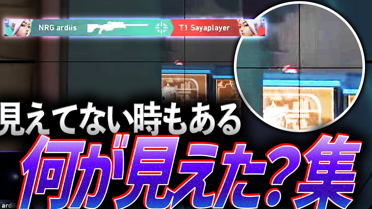 【疑惑】見えてない時もある。何が見えた？集【VCJ 2023&VCT,AVL 2023】