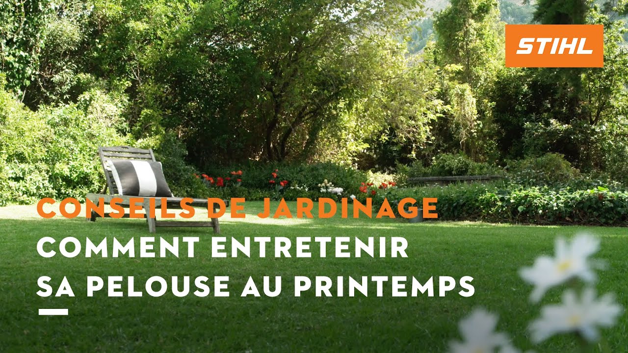 Entretien du gazon au printemps pour une pelouse dense et saine | Conseils de jardinage STIHL