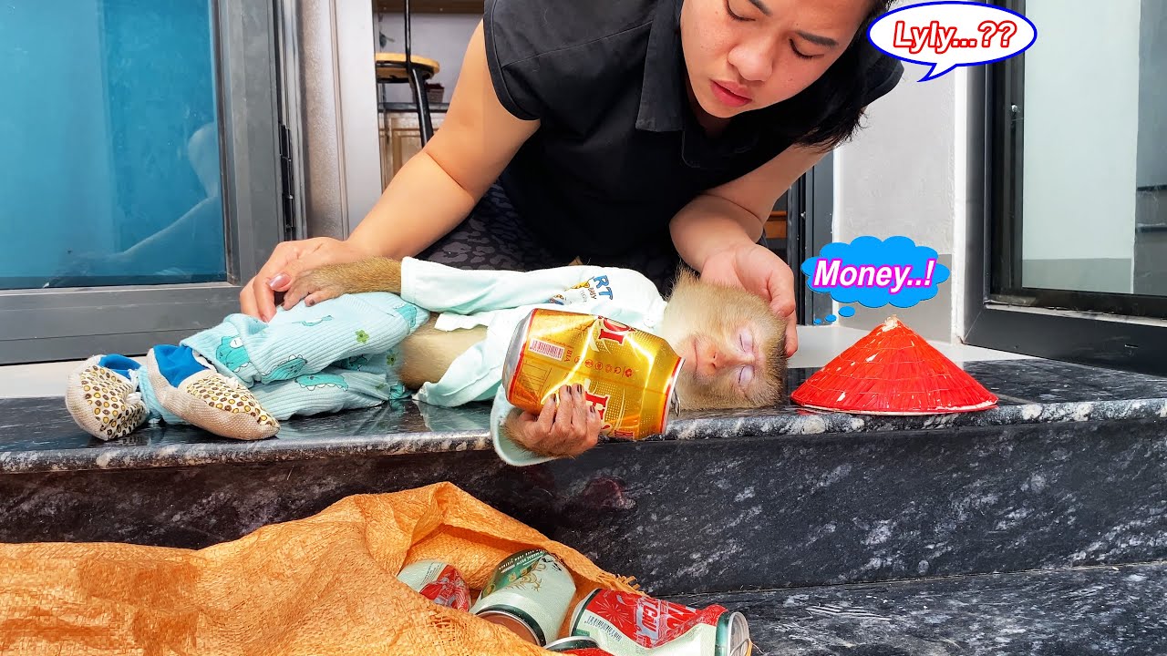 How clever! Lyly the monkey works hard collecting recyclable bottles to earn money to buy snacks.