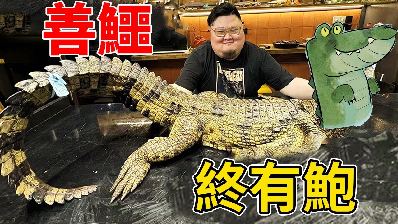 牛逼了！ 兩米大鱷魚變身美味，【善鱷盅有鮑】夥伴們嘴角饞出淚水～～Amoy硬邦幫