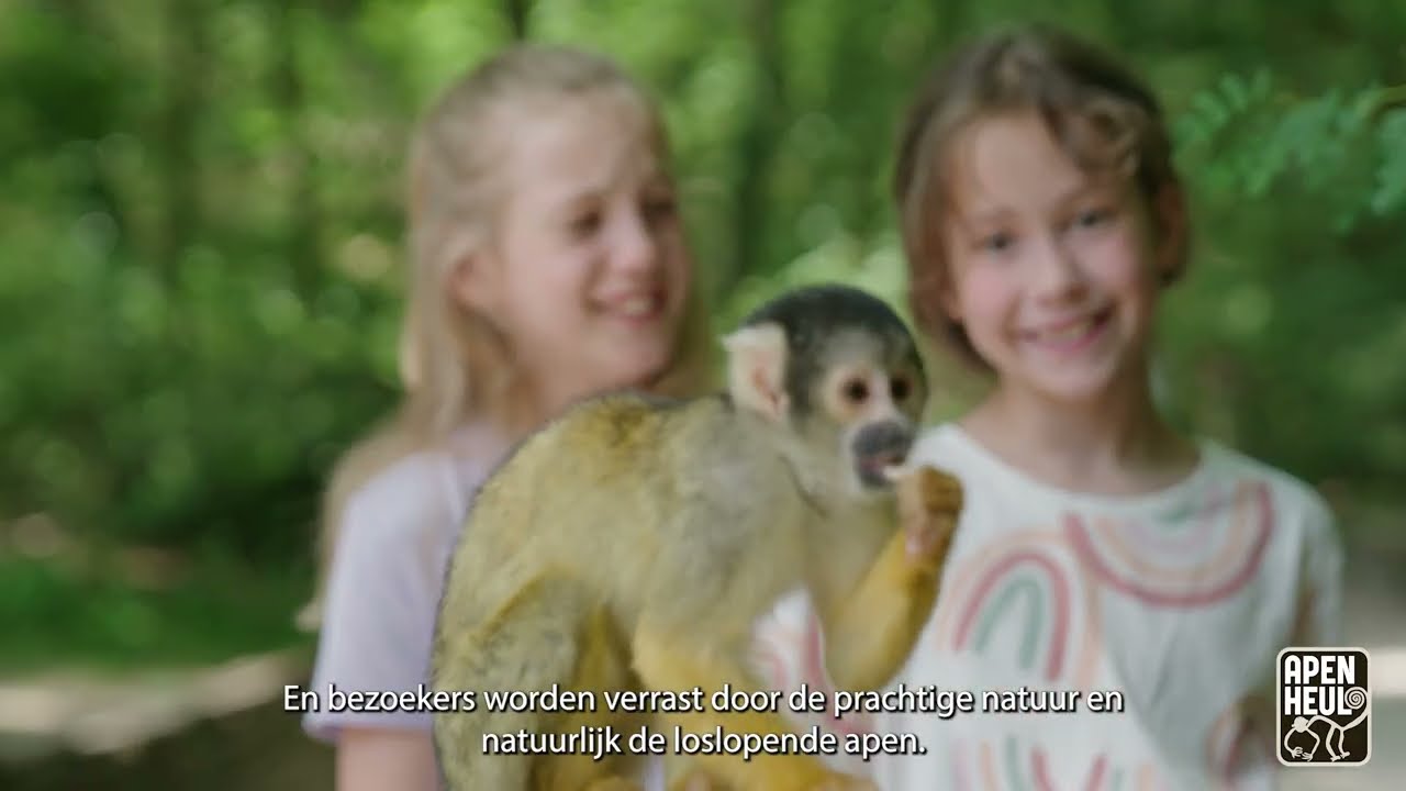 Apenheul, meer dan een leuk dagje uit!