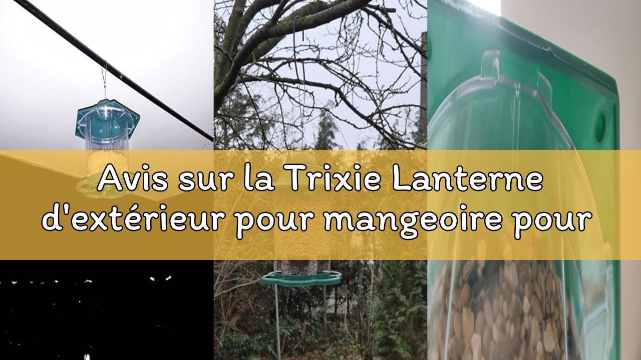 Avis sur la Trixie Lanterne d'extérieur pour mangeoire pour Oiseaux 1400 ML
