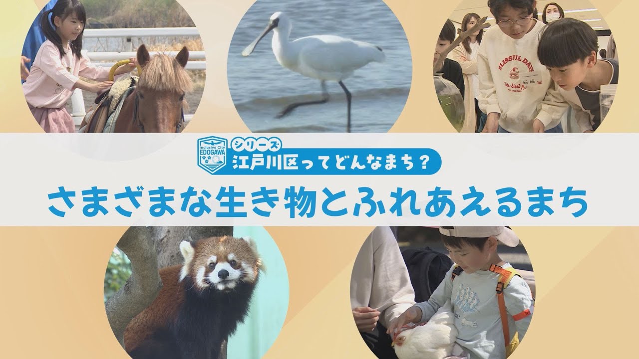 シリーズ｢江戸川区ってどんなまち？｣ さまざまな生き物とふれあえるまち