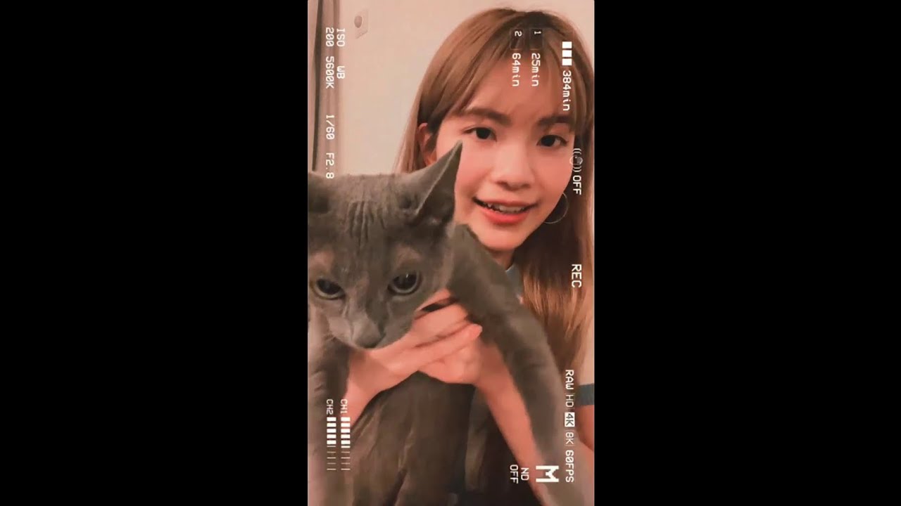 蘇芷晴 So Ching @ COLLAR 突擊 ig live (2022.07.10) | 好耐冇見 | Staycation | COLLAR 趣事