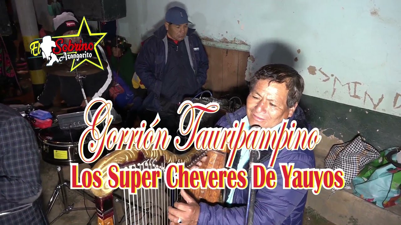Gorrión Tauripampino en Liscay II