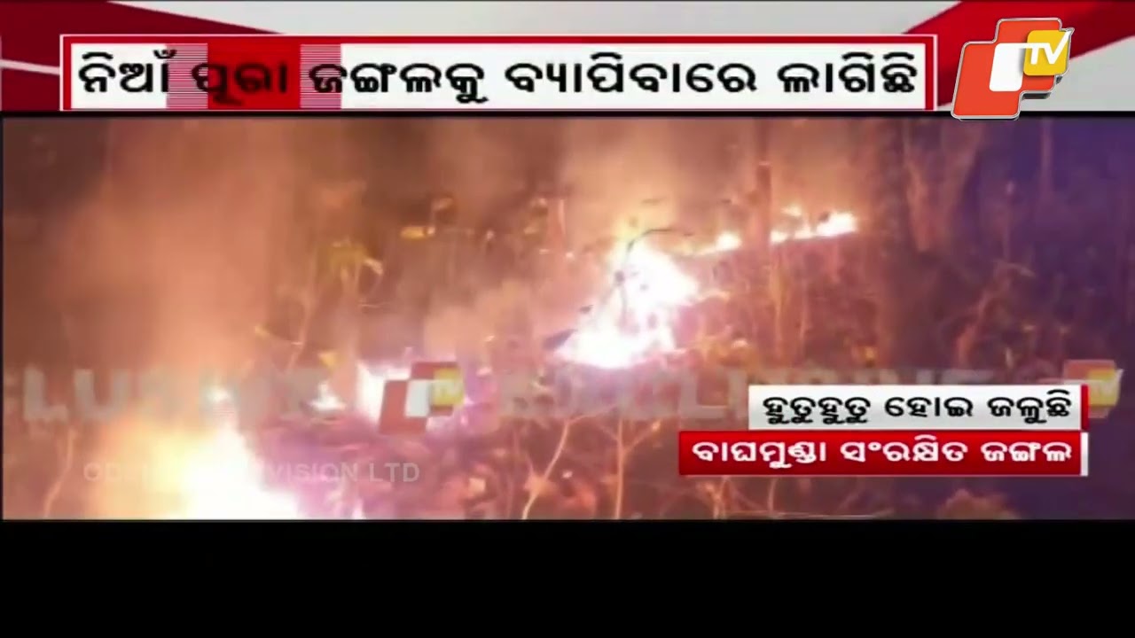 Massive Fire Rages in Baghmunda Reserved Forest Under Kaptipada