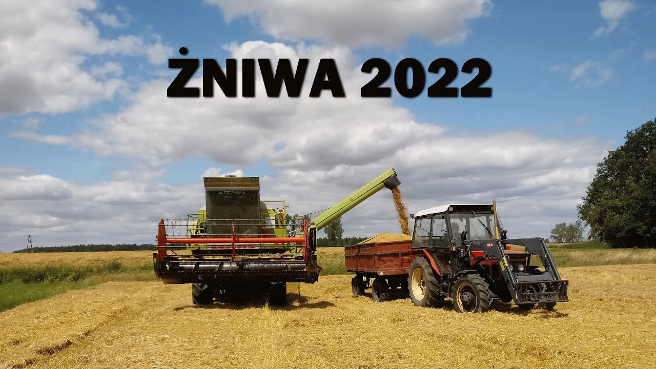 Żniwa 2022 rozpoczęte! 🔥 Kosimy jęczmień ozimy! 🔥 Claas Dominator 66 i Zetor 7745 w akcji!