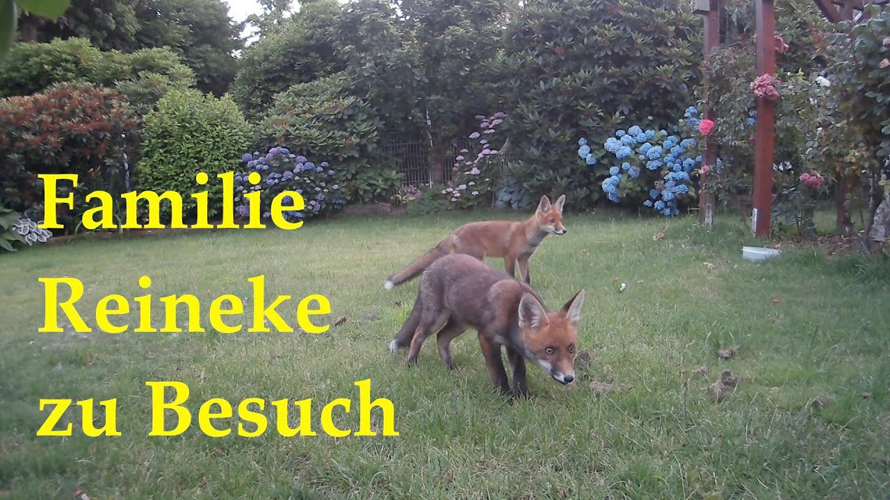 Familie Reineke zu Besuch